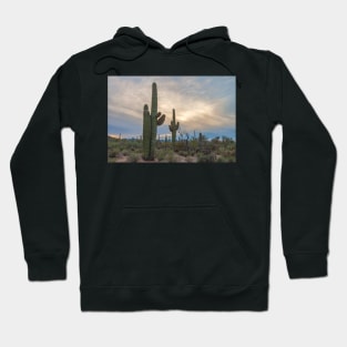 Saguaro Burst Hoodie